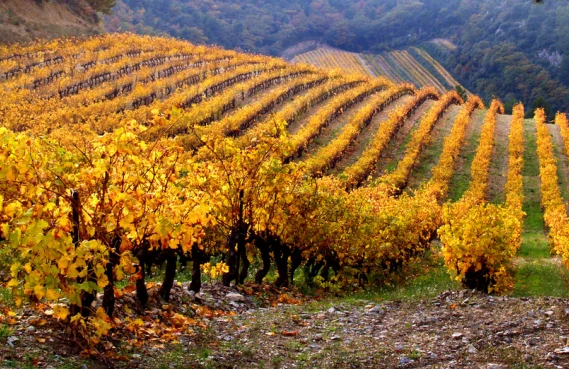 10 Orte in Frankreich die man im Herbst unbedingt sehen muss