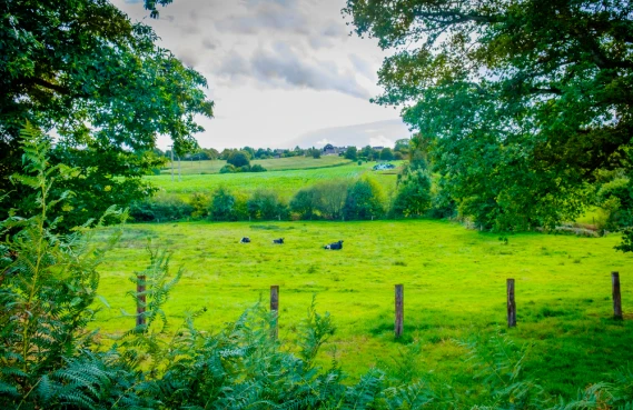 Why not visit the Mayenne department?