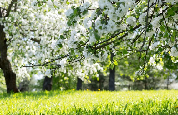 Die Orne: Schön wie der normannische Frühling!