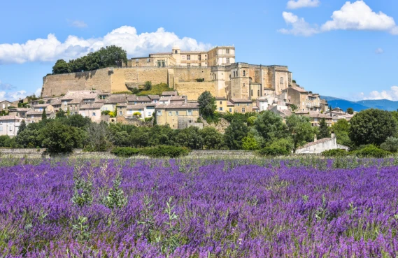 Grignan ? Un ile habitée au milieu d'un océan de lavande...