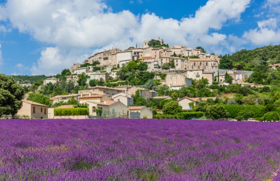 Grignan ? An island in the middle of an ocean of lavender