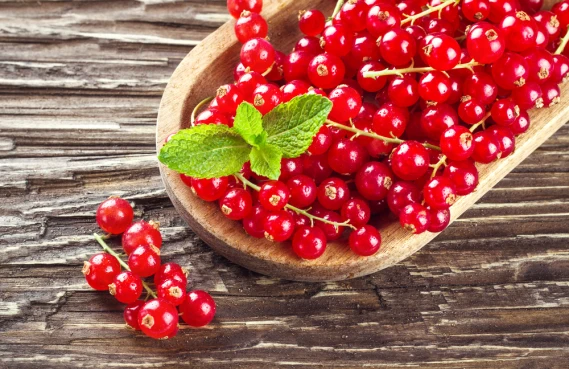 Redcurrants ? A real French delicacy