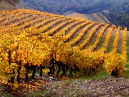 10 lieux en France à voir absolument en automne
