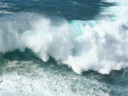 Tides in France: A Complete Guide for Coastal Visitors