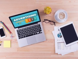 Transparence du site Monsieur de France