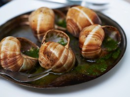 Schnecken kann man sie essen?