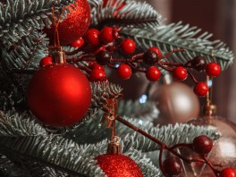 Pourquoi un sapin à Noël ?