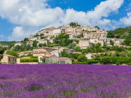 Grignan ? An island in the middle of an ocean of lavender
