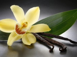 ¿Quién inventó la vainilla?