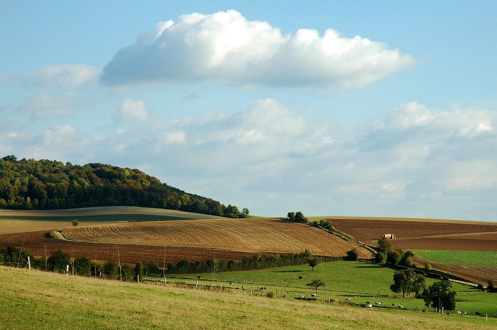 Countryside in the Pays de Bray, rolling hills and green hedgerows typical of this region of Normandy, photo selected by monsieurdefrance.com.