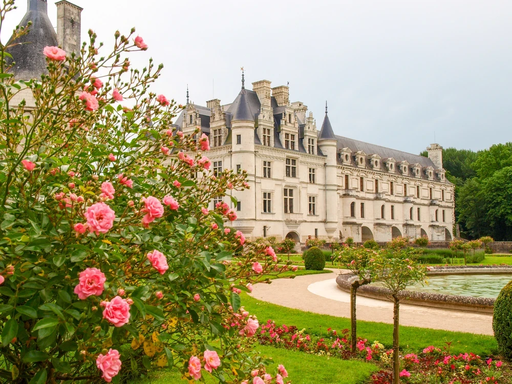 The delightful Château de Chenonceau and its roses in spring / Photo chosen by monsieurdefrance.com depositphotos