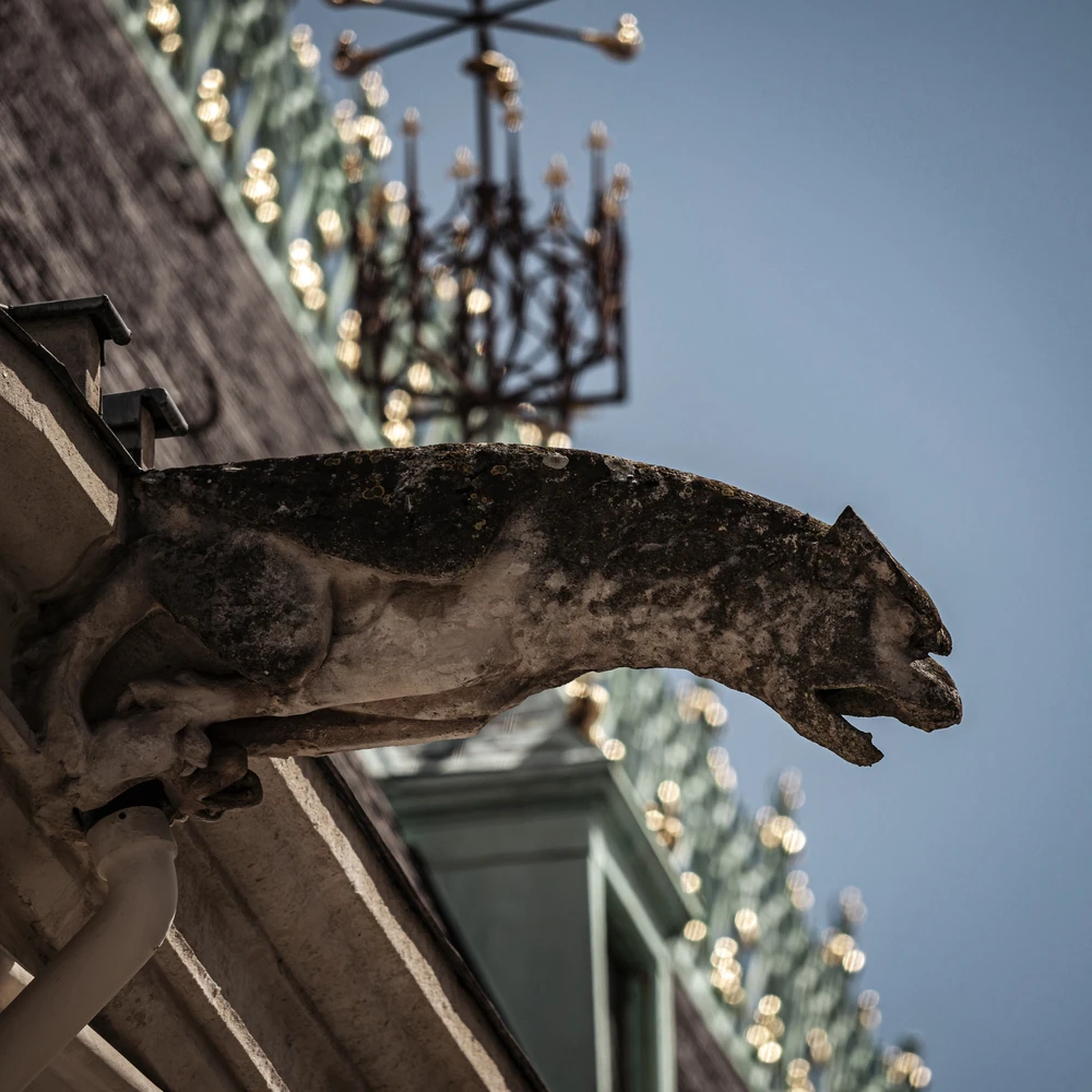 Gargouille du palais ducal de Nancy, détail sculpté emblématique de l’architecture Renaissance lorraine. Photo choisie par monsieurdefrance.com