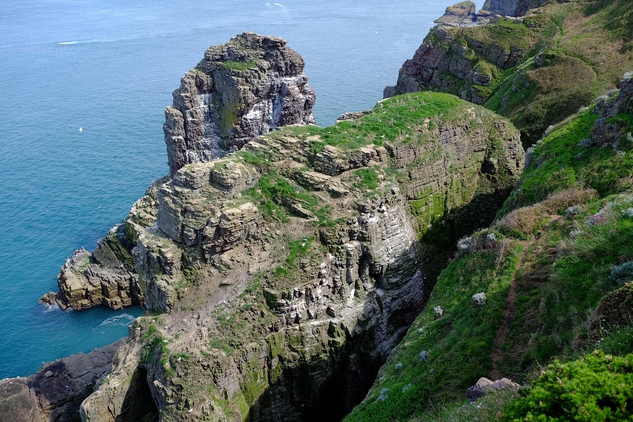 Cap Fréhel, a major ornithological site on the Emerald Coast, renowned for sea bird watching on its cliffs and moors, with spectacular panoramic views near Saint-Malo. Photo selected by monsieur-de-france.com: by Frederic Willocq from Pixabay.