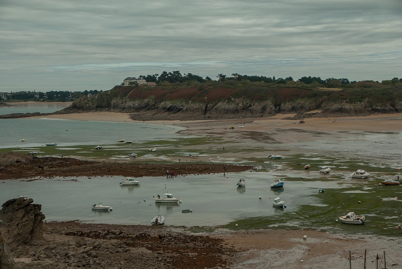 Saint Lunaire at low tide / Photo selected by Monsieur de France: Image by jacqueline macou from Pixabay