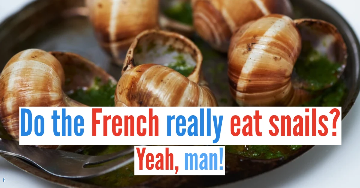 Discover French culture and traditions