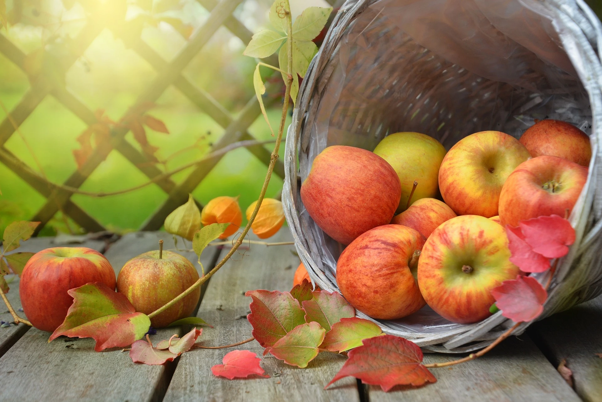 Des pommes. Photo choisie par Monsieurdefrance.com : Rebekka D de Pixabay