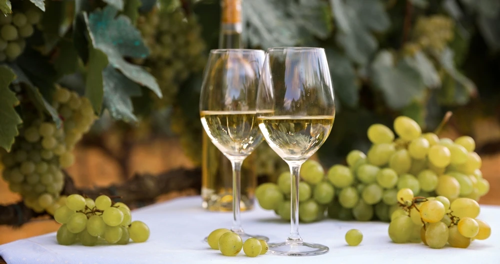 El vino de Nantes es el muscadet imagen de CaftorRossHelen/Shutterstock.com 