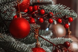 Warum ein Tannenbaum zu Weihnachten?