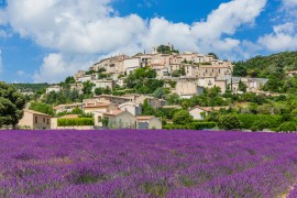 Grignan ? An island in the middle of an ocean of lavender