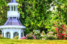 Le Bois de Boulogne : le poumon vert de Paris