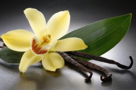 Qui a inventé la vanille ?