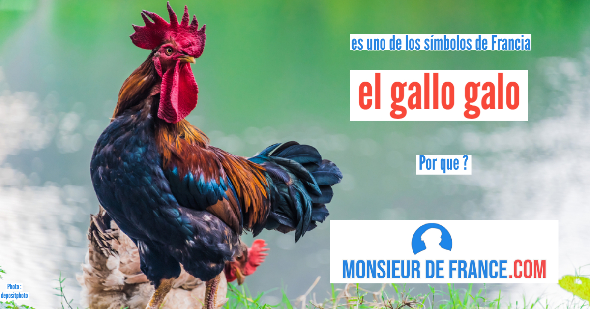 El gallo galo: un antiguo símbolo francés