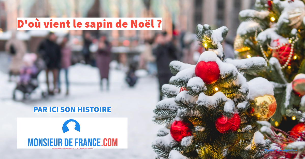 Pourquoi un sapin à Noël