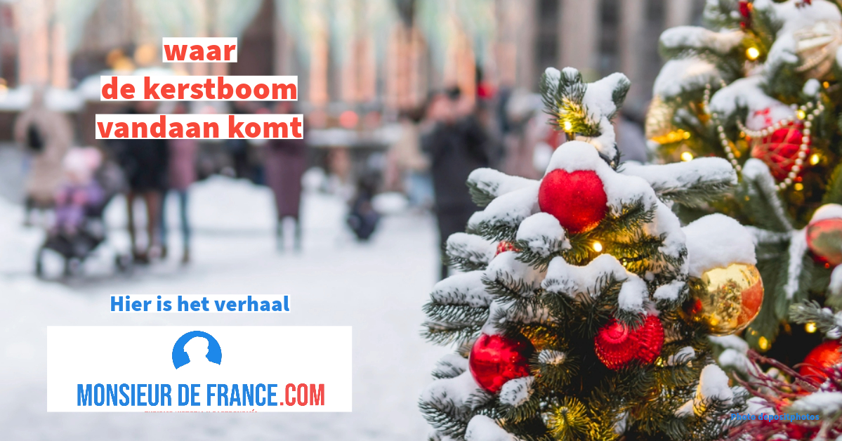 Waarom een kerstboom?