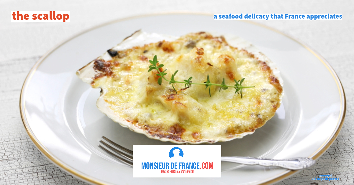 Scallops a French delight