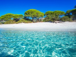 What to do in Corsica? What to see in Corsica?