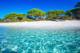 What to do in Corsica? What to see in Corsica?