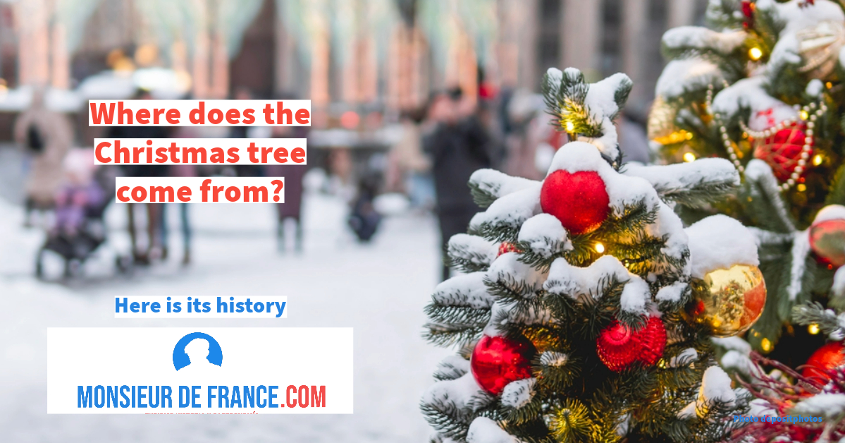 Why a Christmas tree?