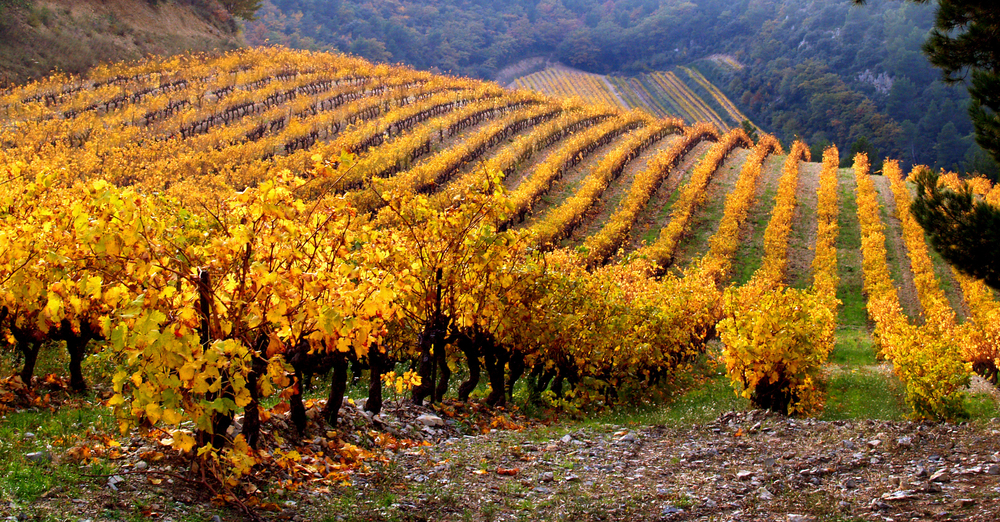 10 lieux en France à voir absolument en automne